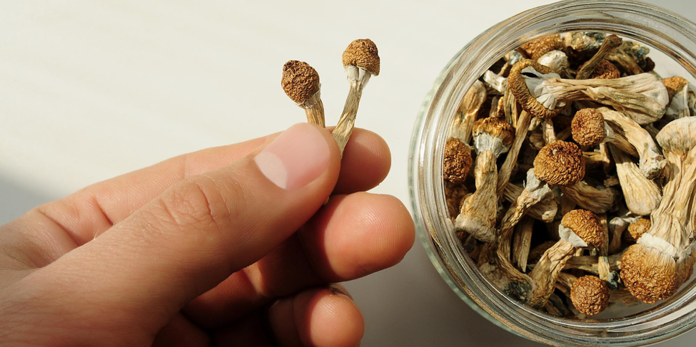 What Is Magic Mushroom Microdosing?