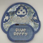 Polkadot  psilocybin candy 4g